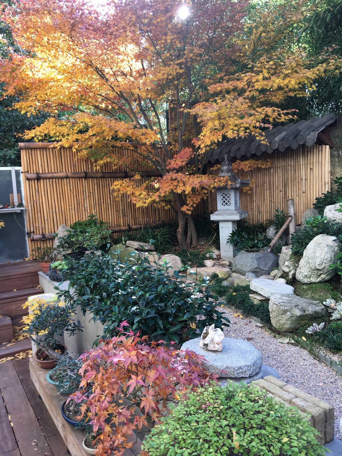 réaménagement d'un Rez de jardin à Nice ambiance jardin japonais