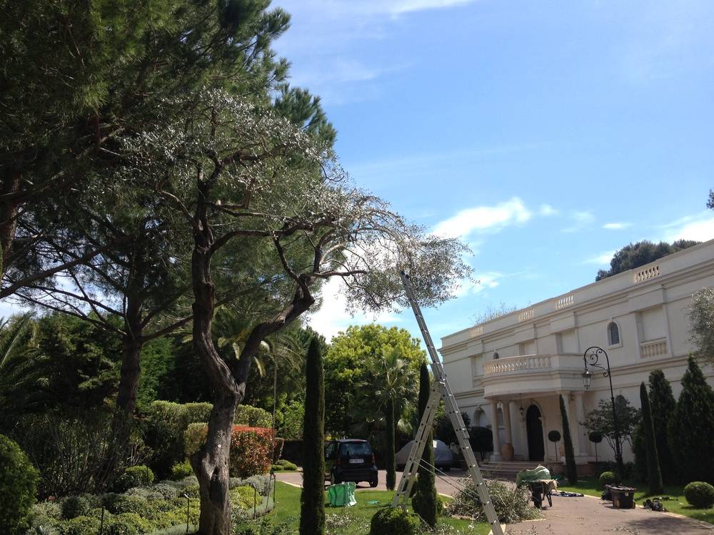 entretien de villa au Cap d'Antibes