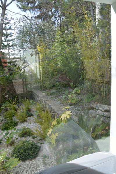 Création d'un bassin et des cascades dans un jardin Japonais à Villefranche sur Mer