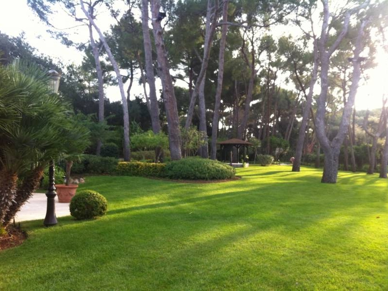 Entretien d'un Jardin au Cap d'Antibes Alpes-Maritimes