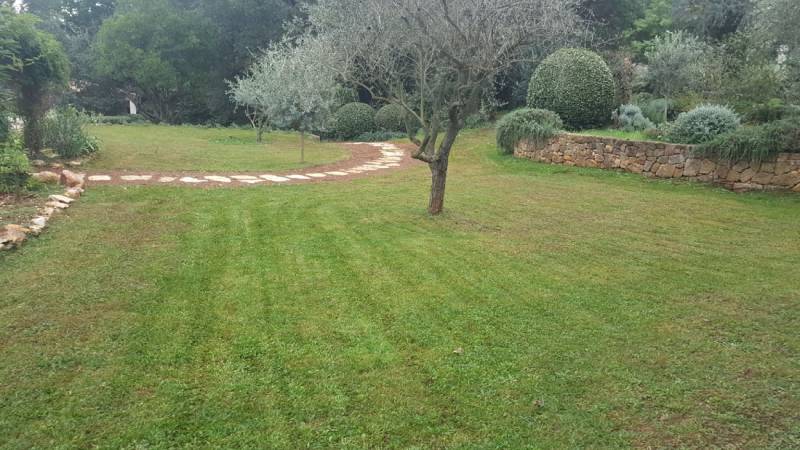 entretien des pelouses 