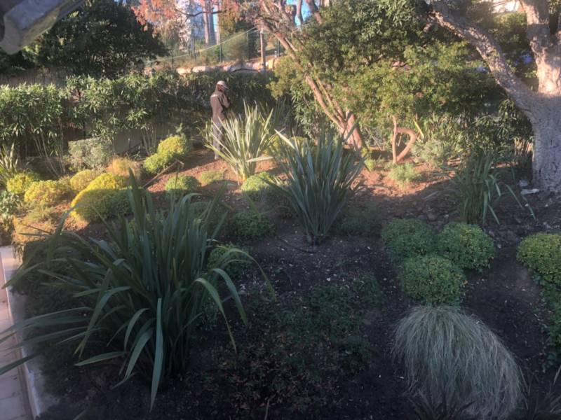 respect de la taille des buissonnants 