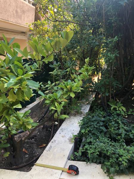 photo avant remplacement des plantes