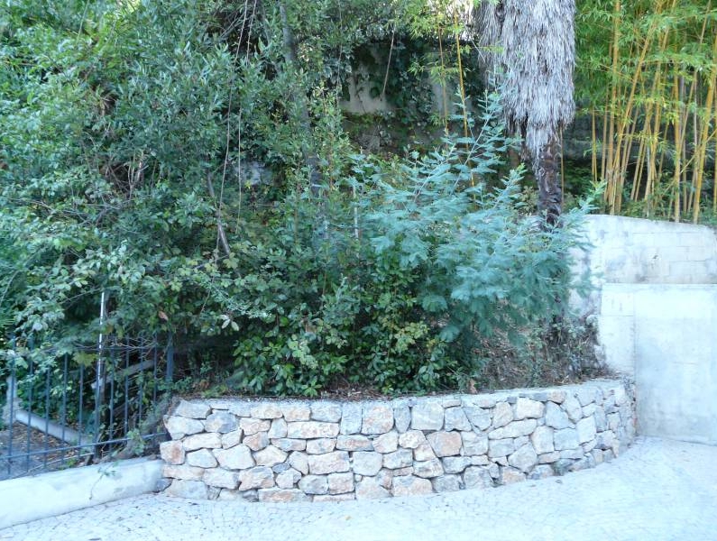 Aménagement d'une jardinière à Cannes