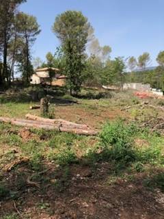 Tri selectif des arbres pour la construction d'une maison à Roquefort les Pins