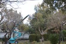 Location matériel de levage Biot Topsud - Sud TP - Sudelev